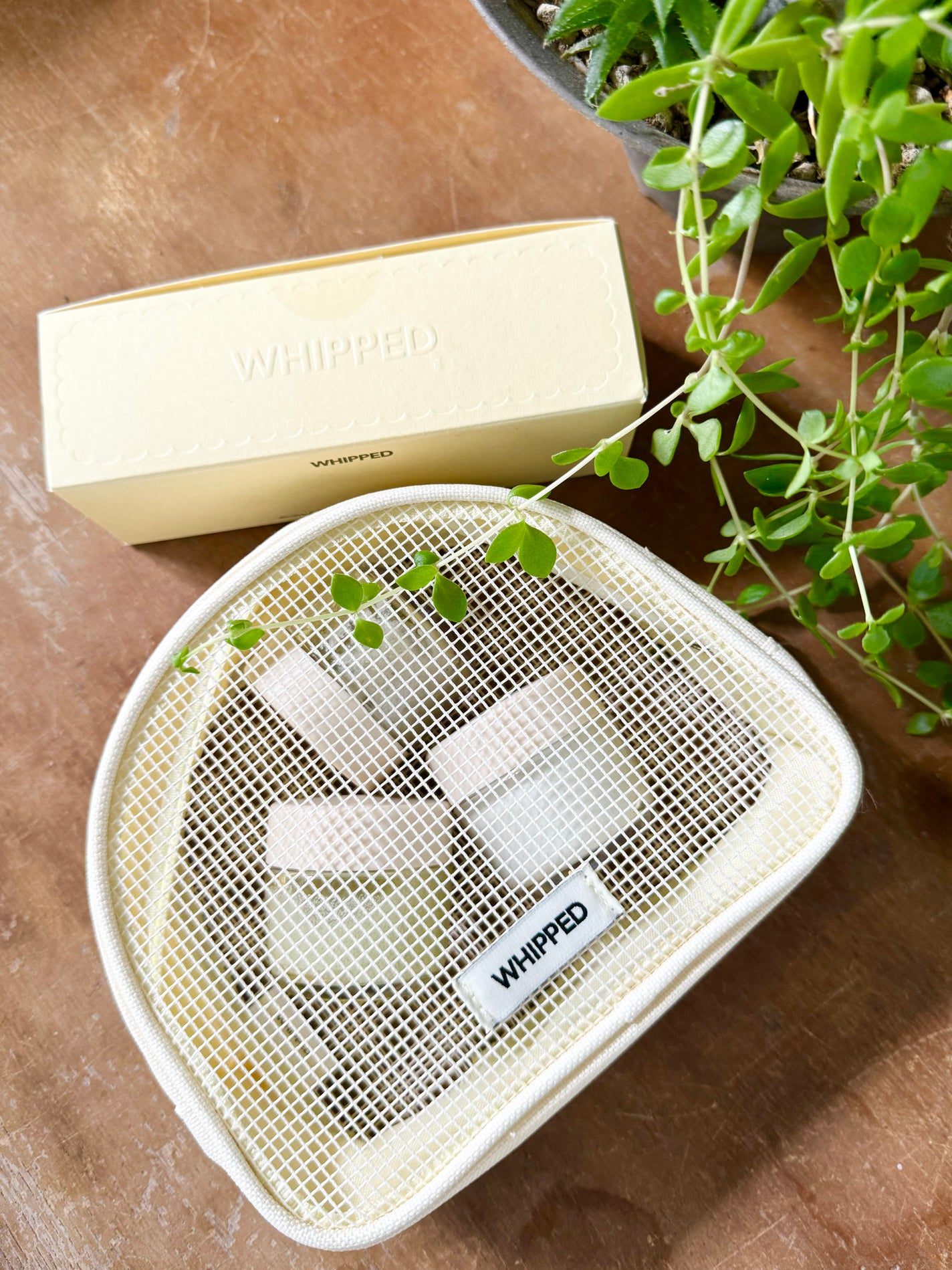 ホイップドヴィーガンパッククレンザーディスカバリーキット/WHIPPED/スキンケアキットを使ったクチコミ(4枚目)