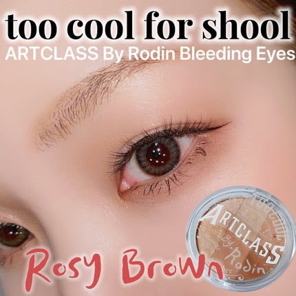 ARTICLASS BLENDING EYES/too cool for school/アイシャドウパレットを使ったクチコミ(1枚目)