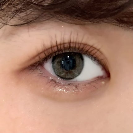 MOLAK 1day/MOLAK/ワンデー(1DAY)カラコンを使ったクチコミ(1枚目)