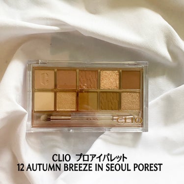 プロ アイ パレット 12 AUTUMN BREEZE IN SEOUL FOREST/CLIO/アイシャドウパレットを使ったクチコミ（1枚目）