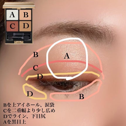 アイカラーレーション/LUNASOL/アイシャドウパレットを使ったクチコミ(4枚目)