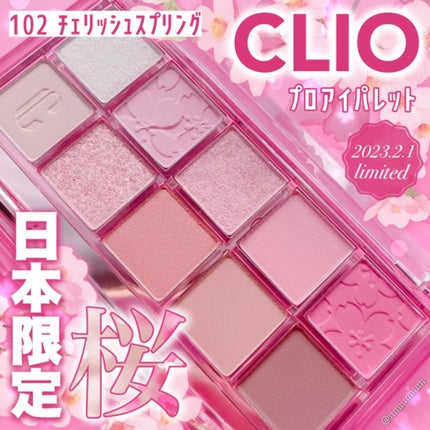 プロ アイ パレット/CLIO/アイシャドウパレットを使ったクチコミ(1枚目)