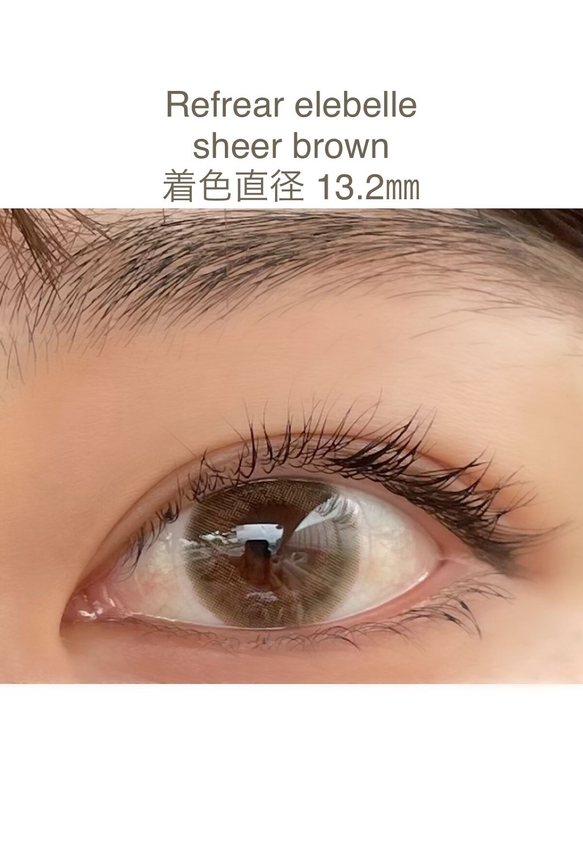  １DAY Refrear elebelle/Refrear/ワンデー（１DAY）カラコンを使ったクチコミ（1枚目）