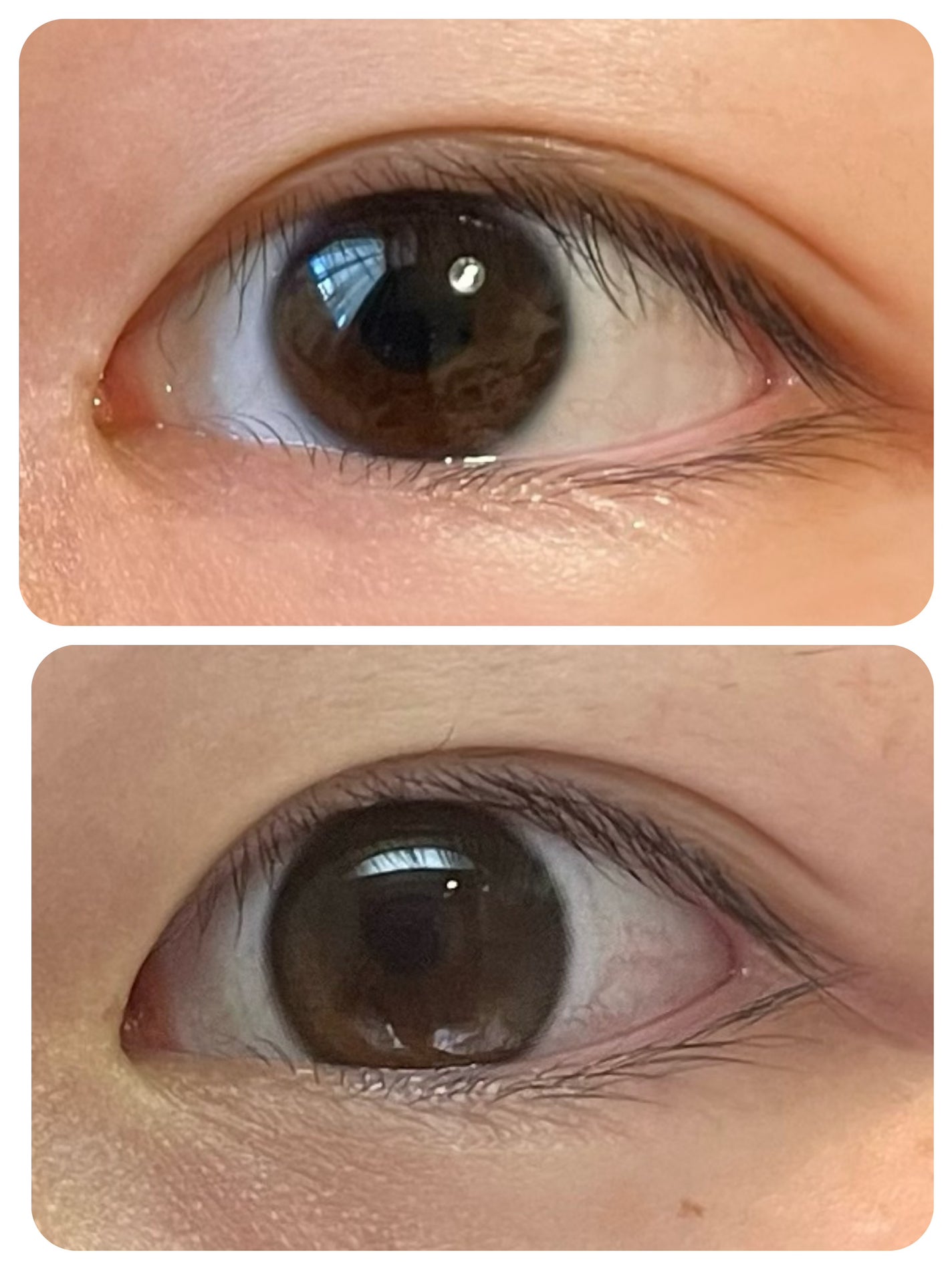 Glowy 1day/OLENS/ワンデー(1DAY)カラコンを使ったクチコミ(2枚目)