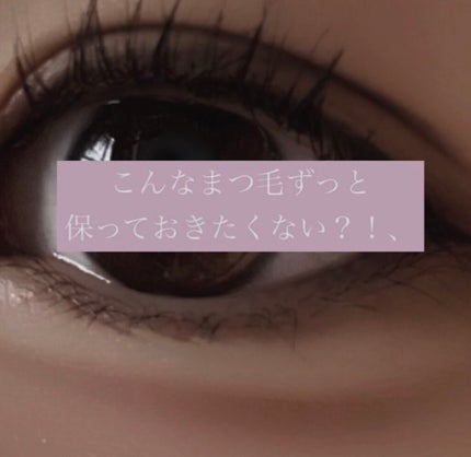 アイラッシュカーラー /SHISEIDO/ビューラーを使ったクチコミ(2枚目)