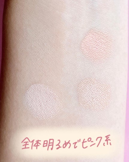 トーンパーフェクティング パレット/DECORTÉ/パレットコンシーラーを使ったクチコミ(5枚目)