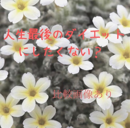 ã䜿ã£ãã¯ãã³ãïŒ2æç®ïŒ