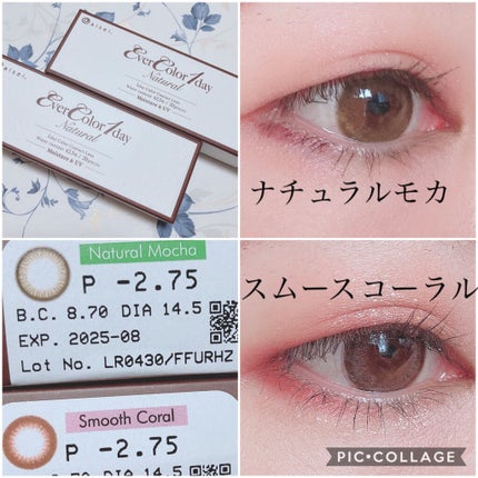 エバーカラーワンデー ナチュラル/エバーカラー/ワンデー(1DAY)カラコンを使ったクチコミ(1枚目)