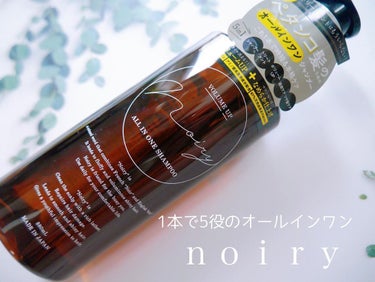 noiry オールインワンシャンプーのクチコミ「ぺたんこ髪対策として生まれた
多機能ノンシリコンシャンプー🧴
⁡
Ｎｏｉｒｙ🫧


オールイン.....」（1枚目）