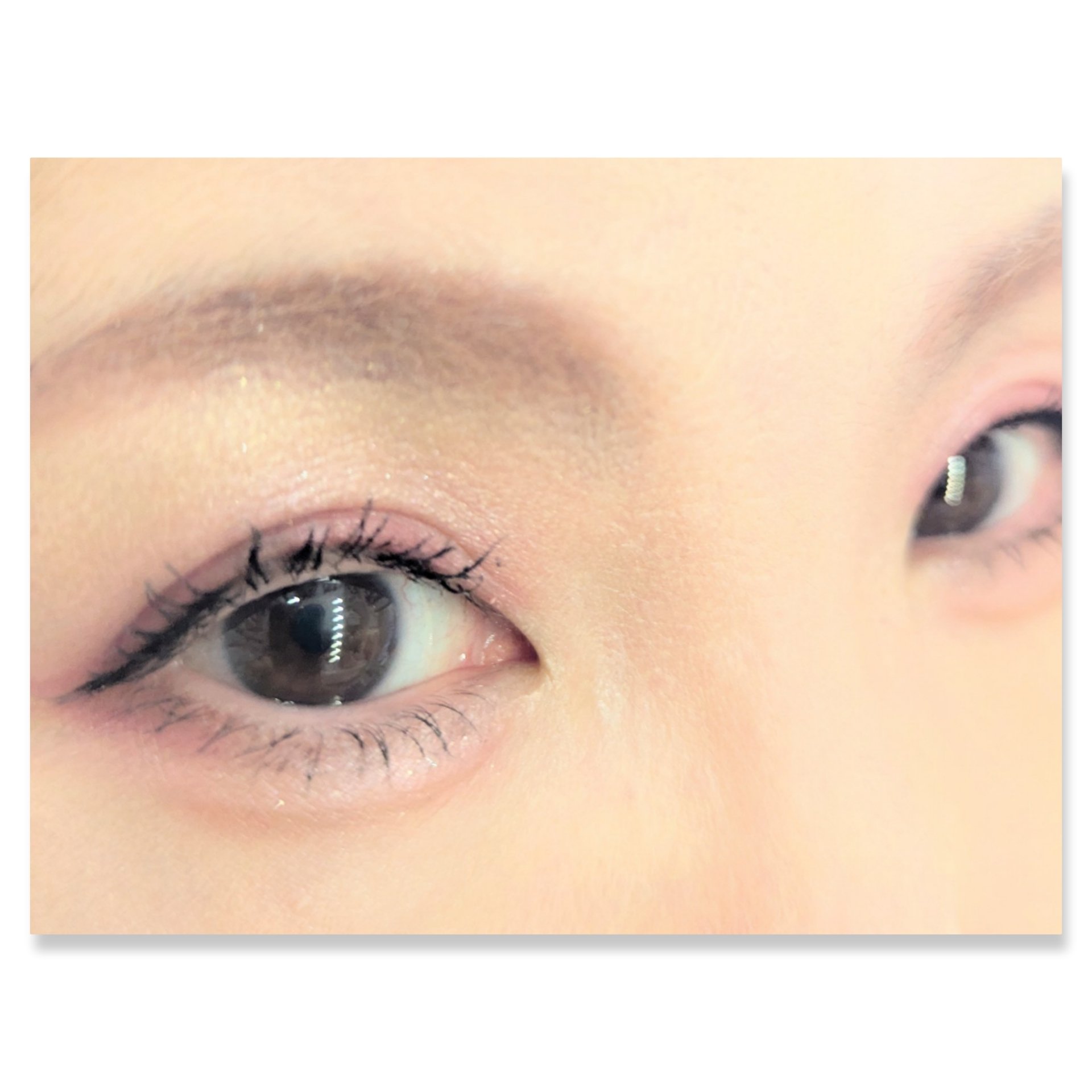 プレイカラーアイズミニ　ローズボム/ETUDE/アイシャドウパレットを使ったクチコミ（2枚目）