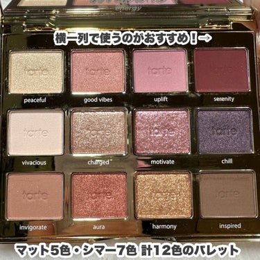 タルトレット Ｅ  アマゾニアンクレイ パレット/tarte/アイシャドウパレットを使ったクチコミ（5枚目）