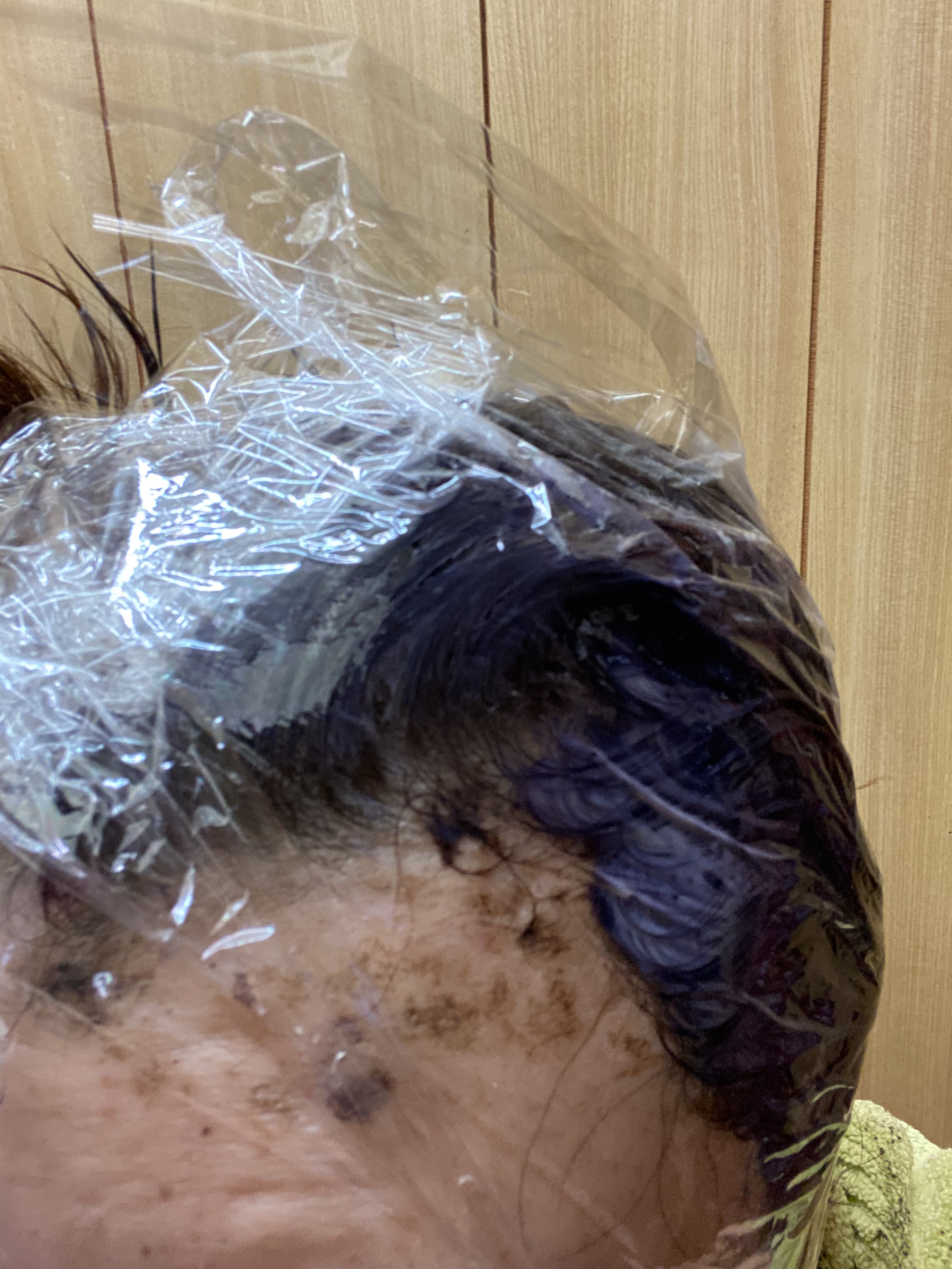 ヘアカラーミルキー 2 より明るいライトブラウン/CIELO/ヘアカラーを使ったクチコミ（1枚目）