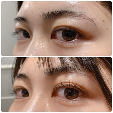 セルフまつ毛パーマキット/シルキーロールズ/その他キットセットを使ったクチコミ(2枚目)