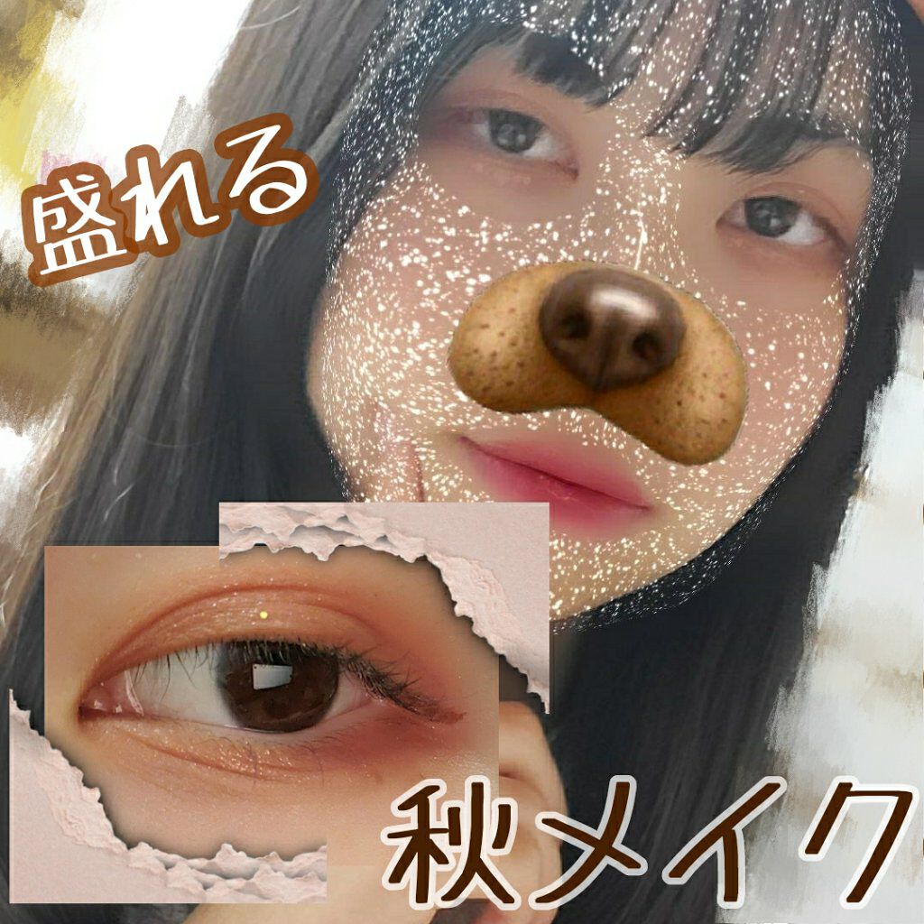 シルキースフレアイズ（マットタイプ）/キャンメイク/アイシャドウパレットを使ったクチコミ（1枚目）