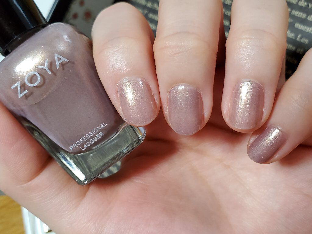 Z-ワイド替ブラシ/ゾーヤ/ネイル用品を使ったクチコミ（3枚目）