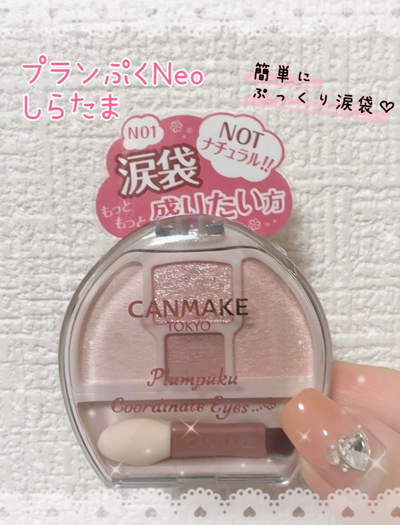 プランぷくコーデアイズNeo/キャンメイク/アイシャドウを使ったクチコミ（1枚目）