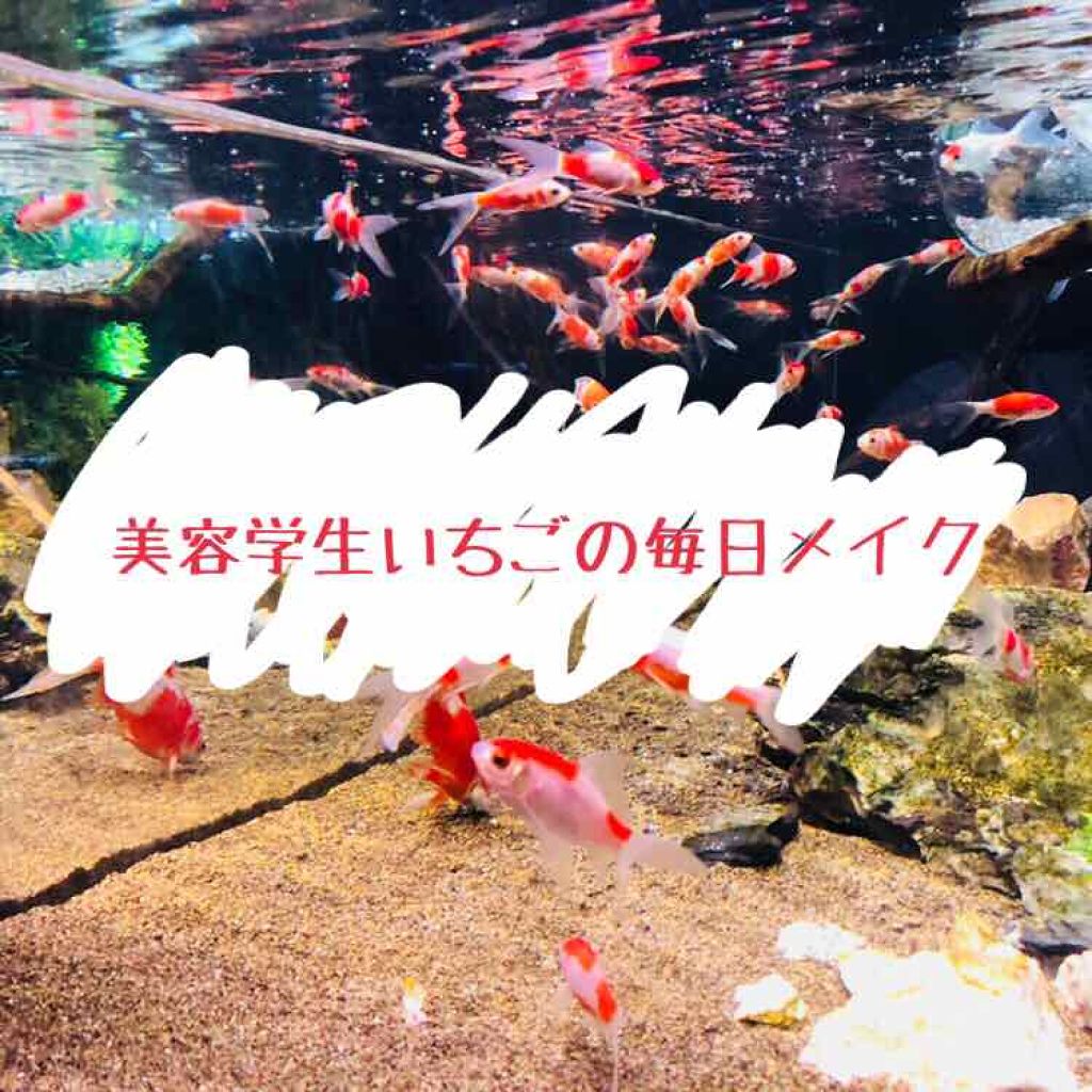 アイラッシュフィクサーEX 552/D-UP/つけまつげを使ったクチコミ(1枚目)