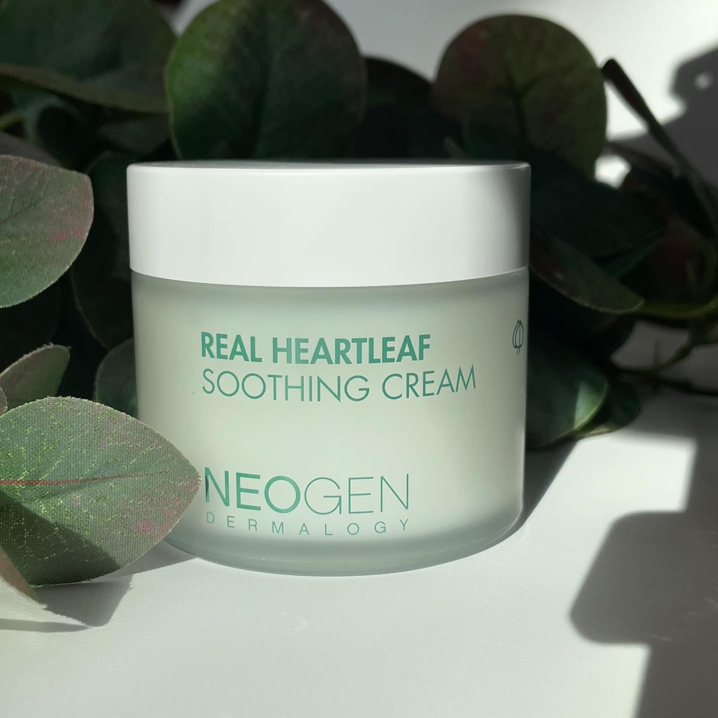 リアルドクダミスージングクリーム/NEOGEN/フェイスクリームを使ったクチコミ(1枚目)