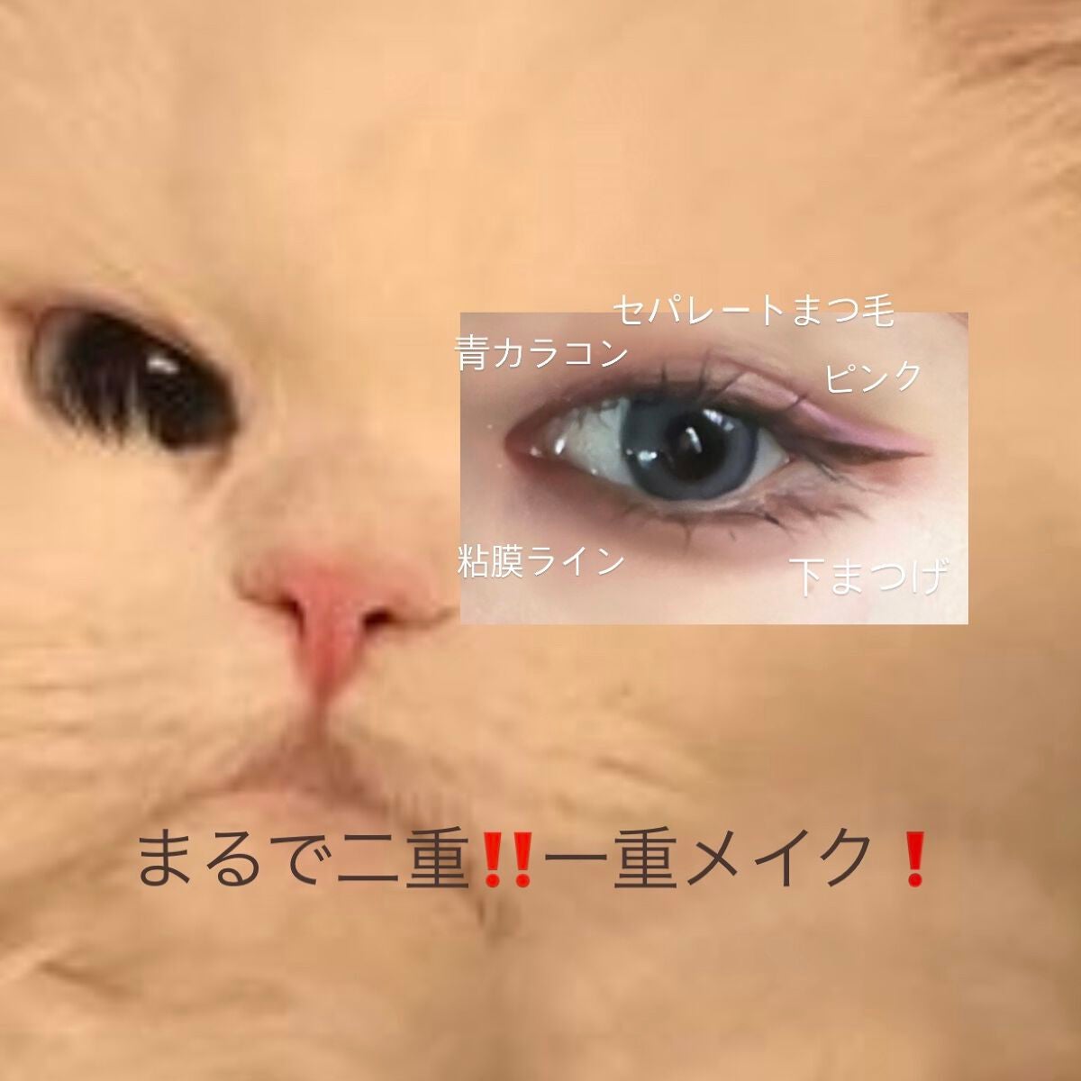 yuið« on LIPS ãäžéã®ç®ãã±ã£ã¡ãã«ããŠãããã¡ã€ã¯âšð« â äºéã®äººã¿ããã«ãã..ãïŒ1æç®ïŒ