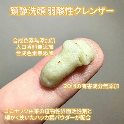 CICA 洗顔フォーム /YBK/洗顔フォームを使ったクチコミ(3枚目)