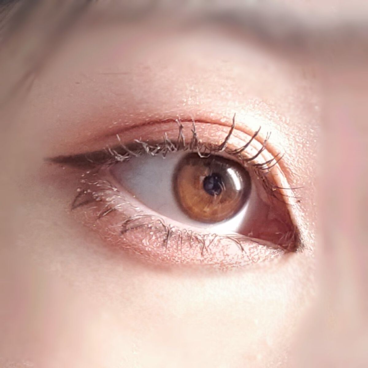 シャドーカスタマイズ/MAJOLICA MAJORCA/単色アイシャドウを使ったクチコミ(2枚目)