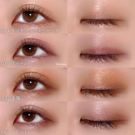 マイキティアイパレット/MilleFée/アイシャドウパレットを使ったクチコミ(10枚目)