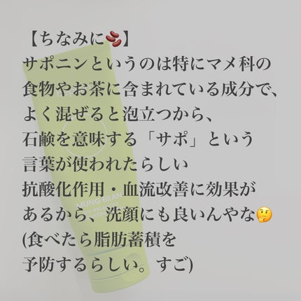 緑豆弱酸性洗顔フォーム/beplain/洗顔フォームを使ったクチコミ(4枚目)