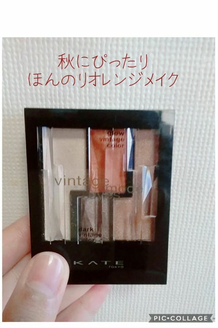 ヴィンテージモードアイズ/KATE/アイシャドウパレットを使ったクチコミ(1枚目)