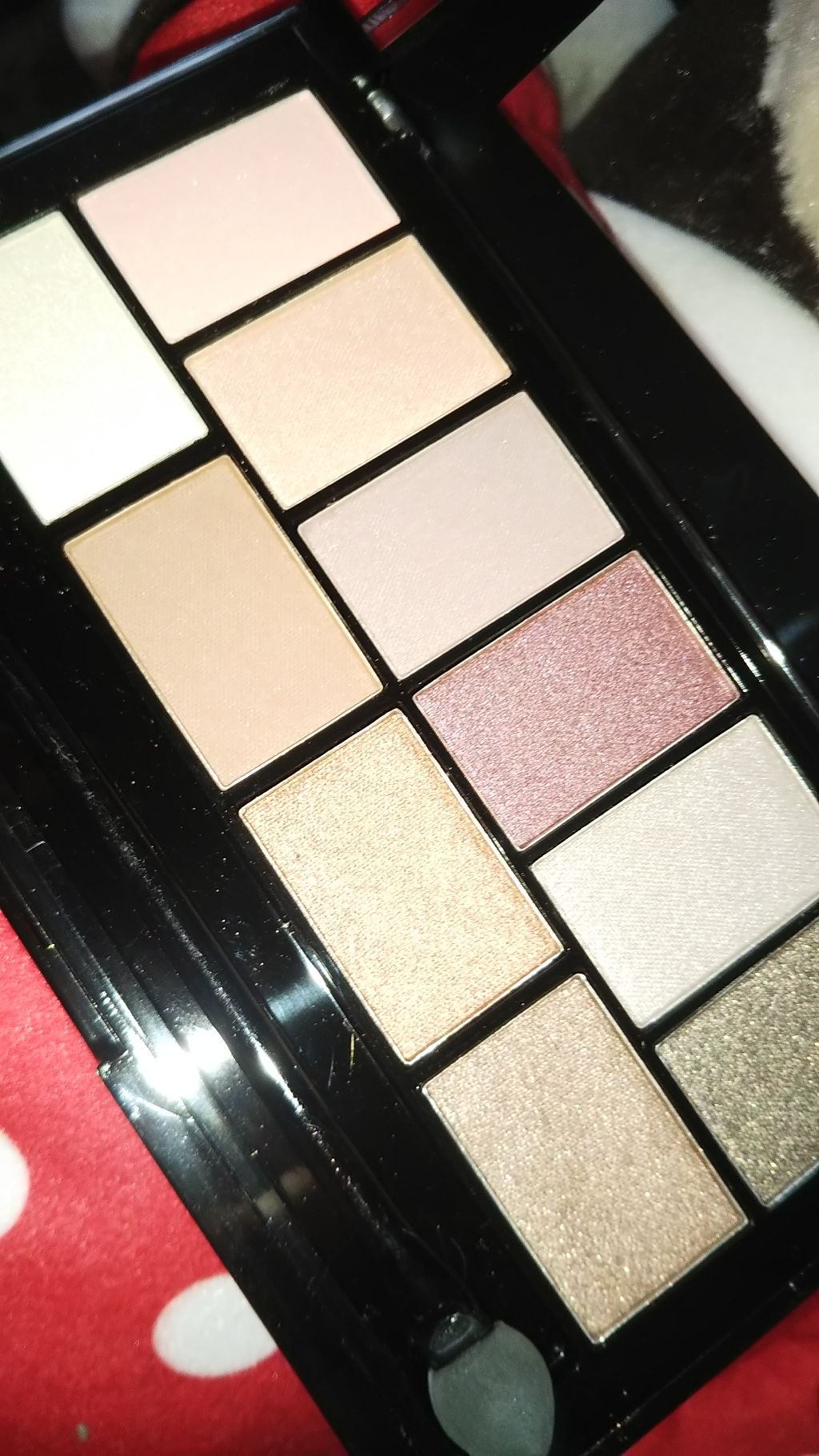 10カラーアイシャドウ/エンジェルハート/アイシャドウパレットを使ったクチコミ(2枚目)