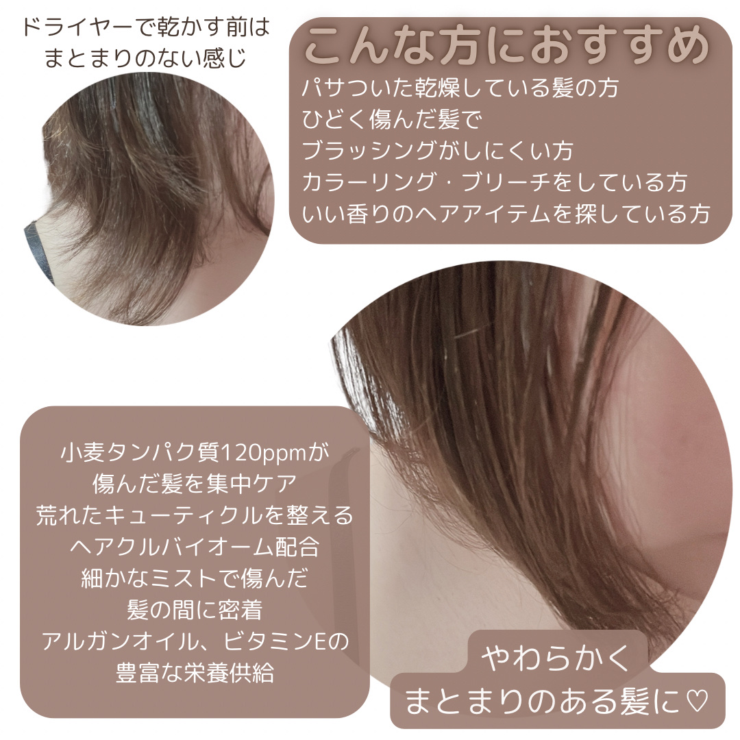 ノーウォッシュトリートメントプロテインエッセンス/now & than（ナウアンドダン）/ヘアミストを使ったクチコミ（3枚目）