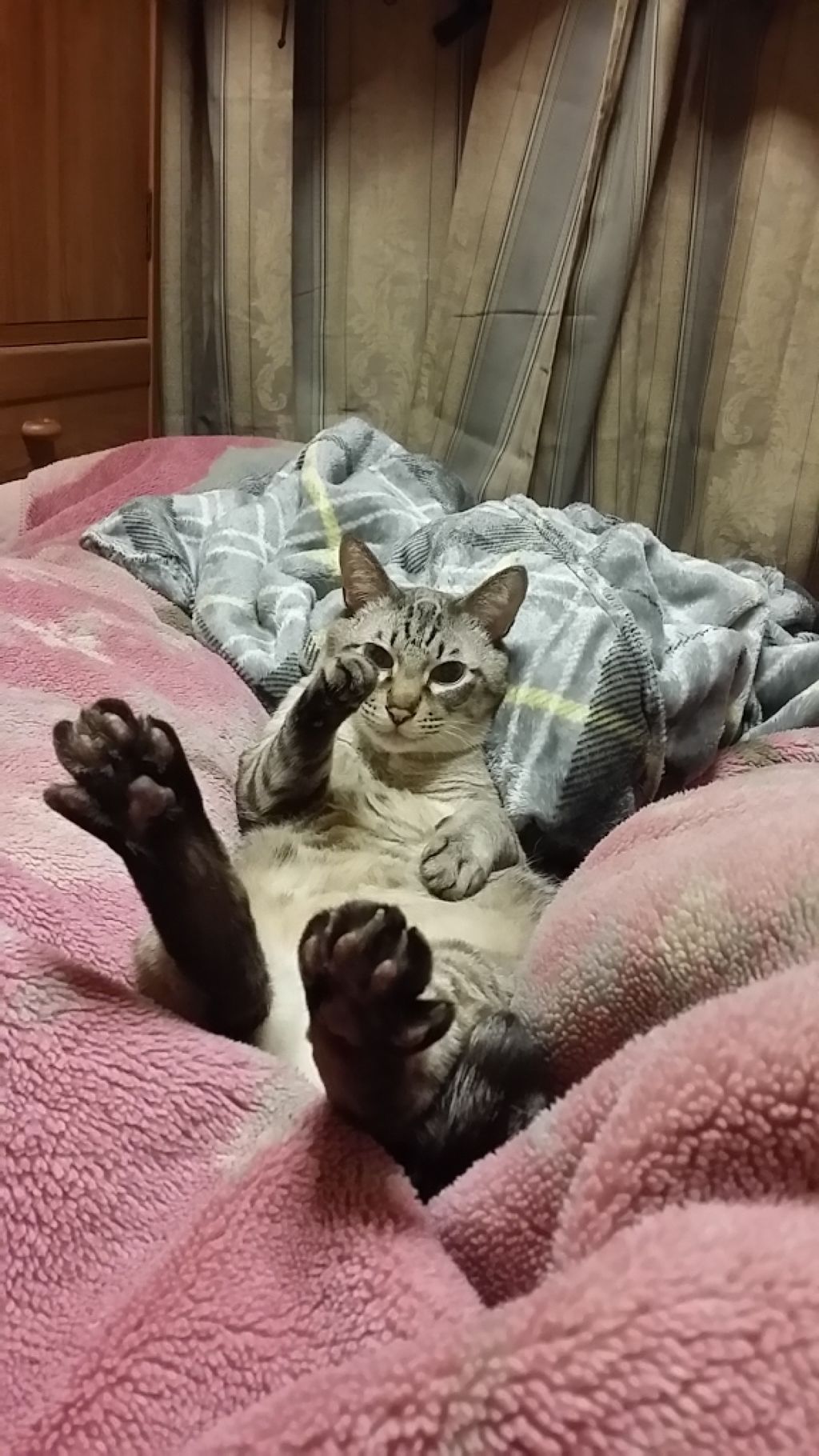 鍵しっぽヌコ(メンヘラ引きこもりニート) on LIPS 「ご報告ですコメント非表示の件ですが、運営に何度も問い合わせて話..」(1枚目)