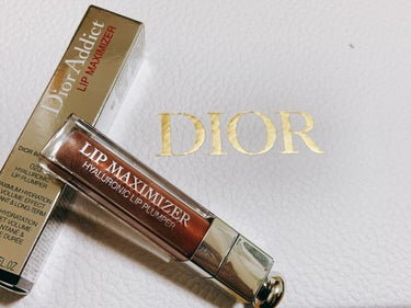 【旧】ディオール アディクト リップ マキシマイザー 023 シマー ブロンズ/Dior/リップグロスを使ったクチコミ（1枚目）