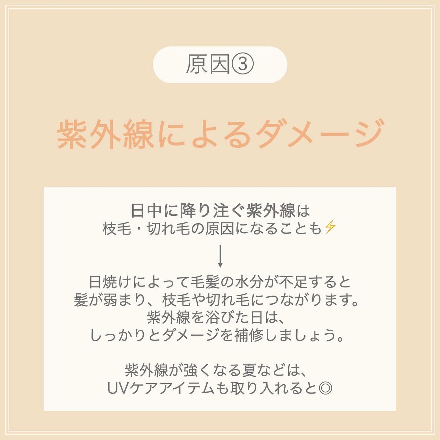 プルント ディープリペア美容液ヘアオイル アールグレイ N/Purunt./ヘアオイルを使ったクチコミ(5枚目)