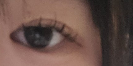 twinkle_sounds_qyub on LIPS 「めちゃかわいいINTEGRATEのローソン限定買ったマスカラが..」(2枚目)