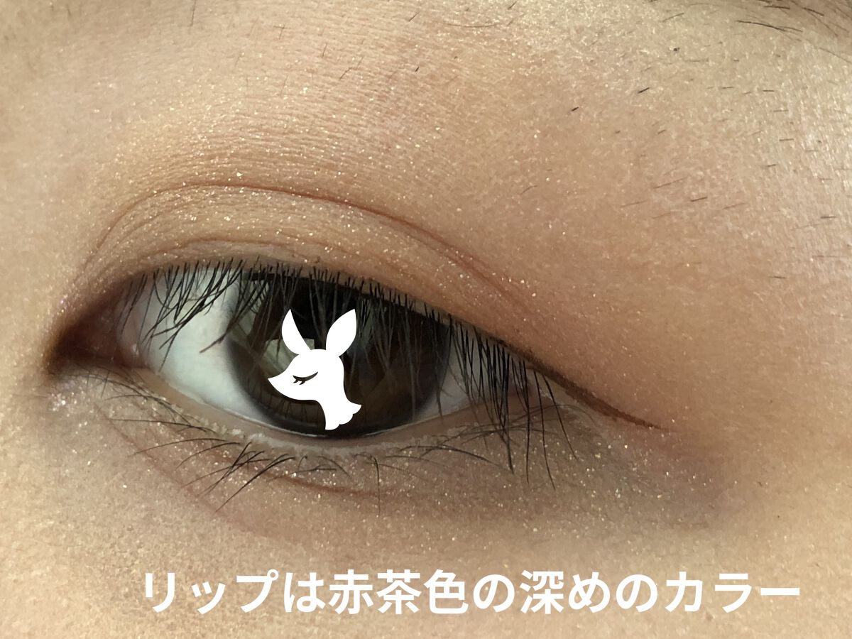 リシェ リキッド アイライナー BR300 ブラウン/Visée/リキッドアイライナーを使ったクチコミ（3枚目）