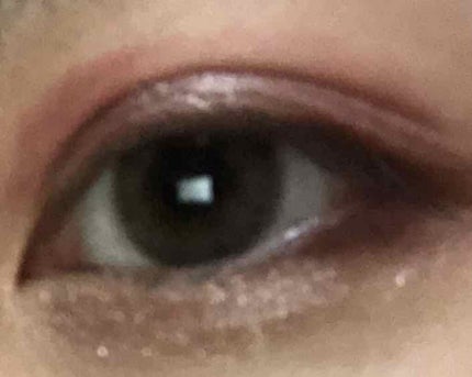 プロ アイ パレット/CLIO/アイシャドウパレットを使ったクチコミ(1枚目)