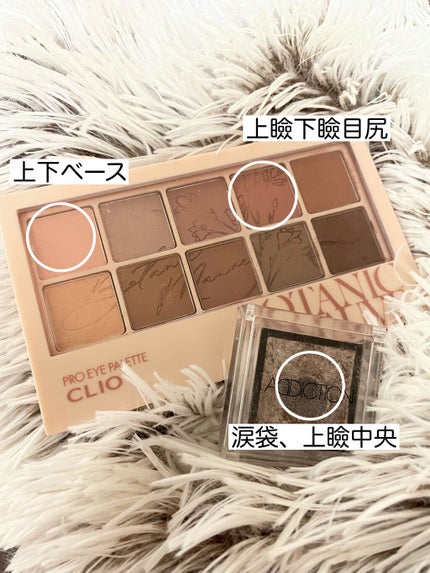 プロ アイ パレット/CLIO/アイシャドウパレットを使ったクチコミ(6枚目)