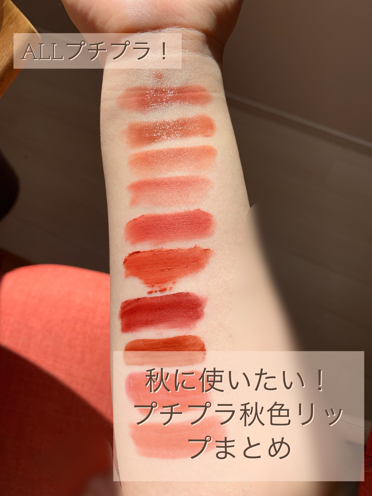 口紅(詰替用)/ちふれ/口紅を使ったクチコミ(1枚目)