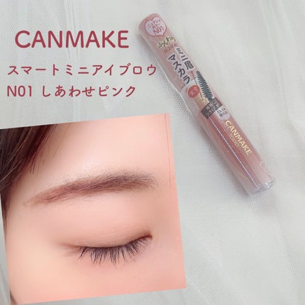 スマートミニアイブロウカラー/キャンメイク/眉マスカラを使ったクチコミ(1枚目)