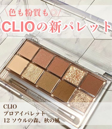 \かわいい詰め込みパレット/


----*----*----*----*----*----*----
CLIO
プロアイパレット
12 ソウルの森、秋の風
¥2,690
----*----*----*