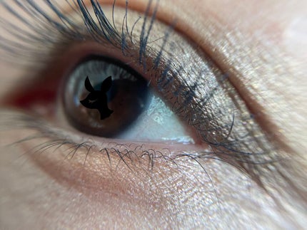 サンク クルール クチュール<ゴールデン ナイツ>/Dior/アイシャドウパレットを使ったクチコミ(8枚目)