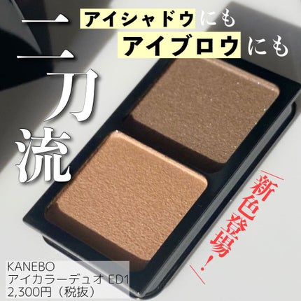 カネボウ アイカラーデュオ 13 Epic Canyon/KANEBO/アイシャドウパレットの画像