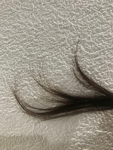 ホイップヘアカラー 髪色もどし ナチュラルブラウン/ビューティラボ/ヘアカラーを使ったクチコミ（2枚目）