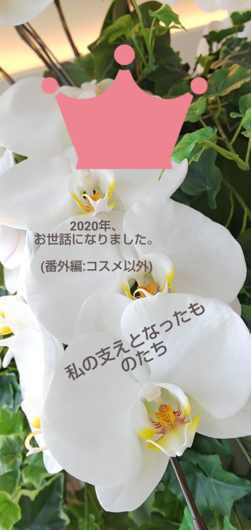 美酢 （希釈タイプ）/美酢(ミチョ)/その他飲むお酢を使ったクチコミ（1枚目）