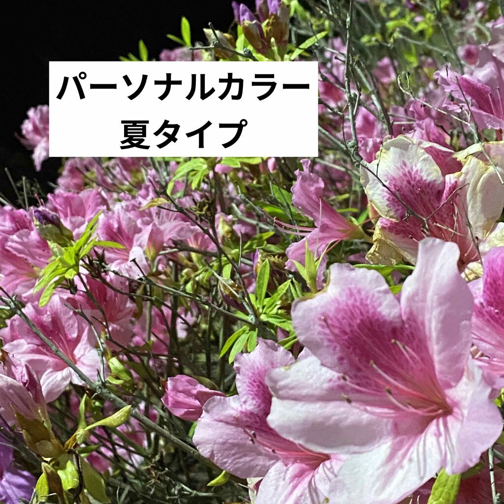 グロウフルールチークス/キャンメイク/パウダーチークを使ったクチコミ(1枚目)