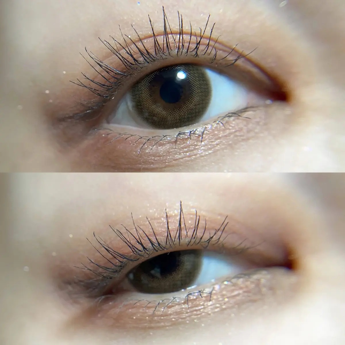 TOPARDS 1day/TOPARDS/ワンデー（１DAY）カラコンを使ったクチコミ（1枚目）