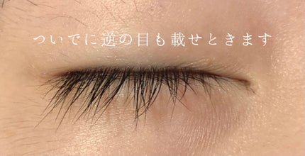 まつげ美容液EX/CEZANNE/まつげ美容液を使ったクチコミ(6枚目)
