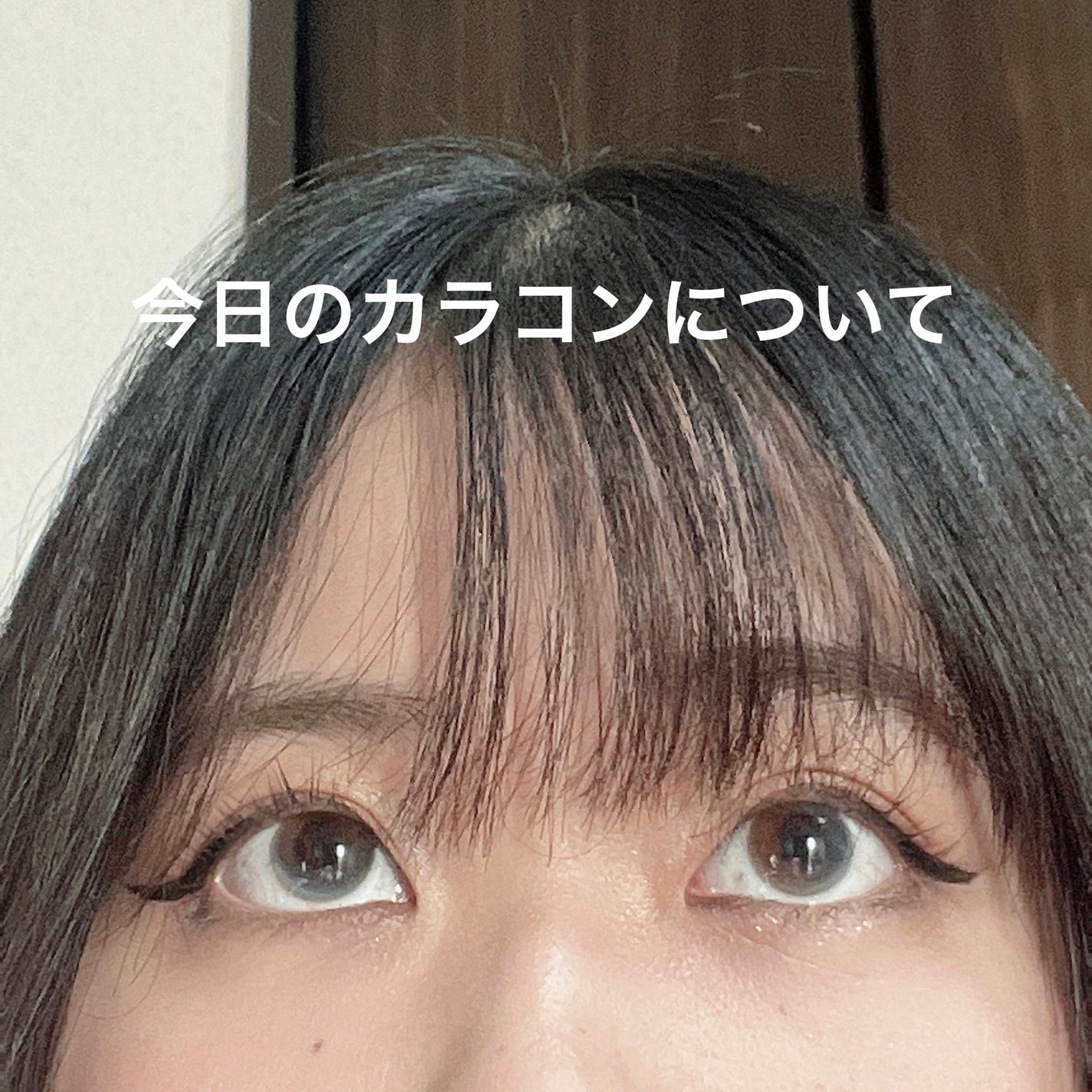 VNTUS 1day/VNTUS/ワンデー(1DAY)カラコンを使ったクチコミ(1枚目)