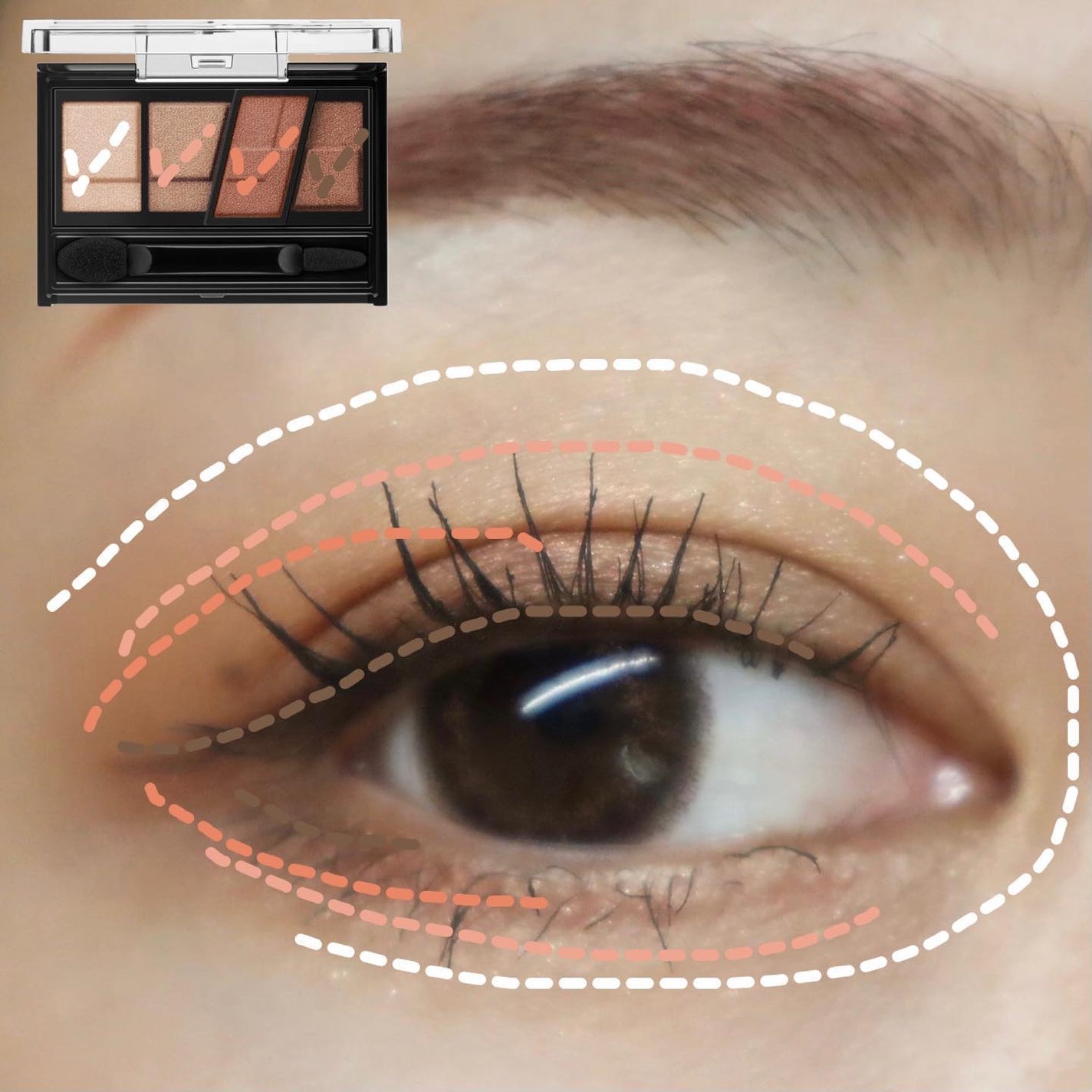 デザイニングブラウンアイズ/KATE/アイシャドウパレットを使ったクチコミ(5枚目)