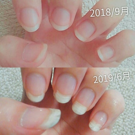 自己紹介/雑談/その他を使ったクチコミ(2枚目)